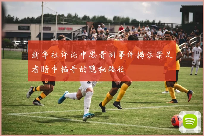 新华社评论申思青训事件揭示禁足者暗中插手的隐秘路径