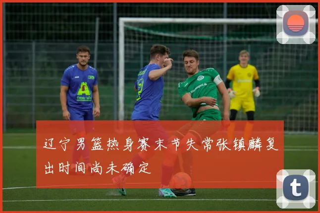 辽宁男篮热身赛末节失常张镇麟复出时间尚未确定